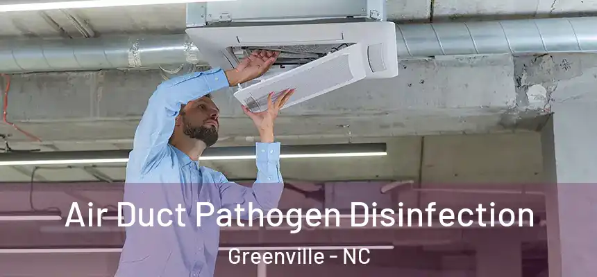  Air Duct Pathogen Disinfection Greenville - NC