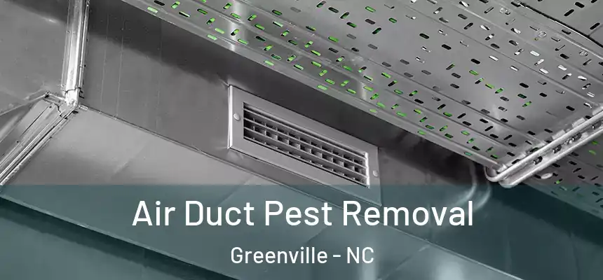 Air Duct Pest Removal Greenville - NC