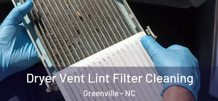  Dryer Vent Lint Filter Cleaning Greenville - NC