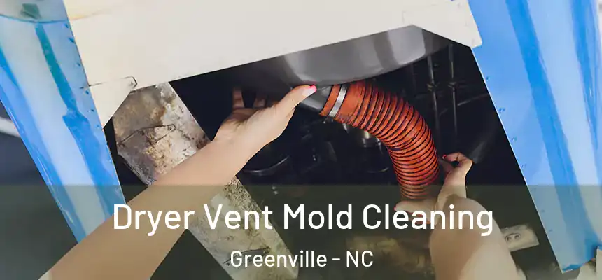  Dryer Vent Mold Cleaning Greenville - NC