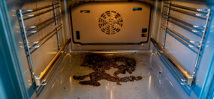 Our Dryer Vent Mold Cleaning Services in Greenville, NC