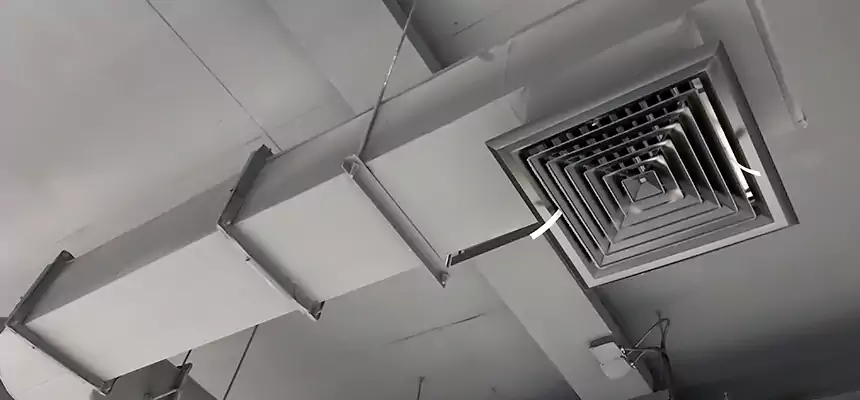 Our Pest Removal From Ducts Services in Greenville, NC