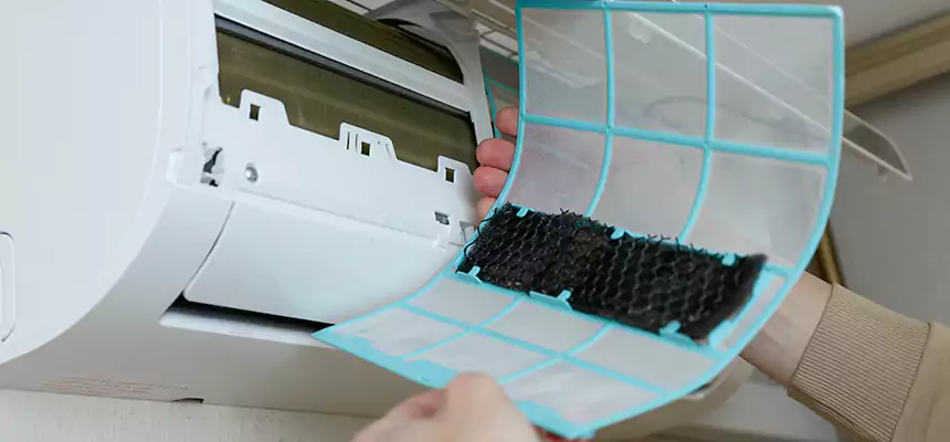 Gentle Ductwork Odor-Control Pet Dander Duct Cleaning in Greenville, NC