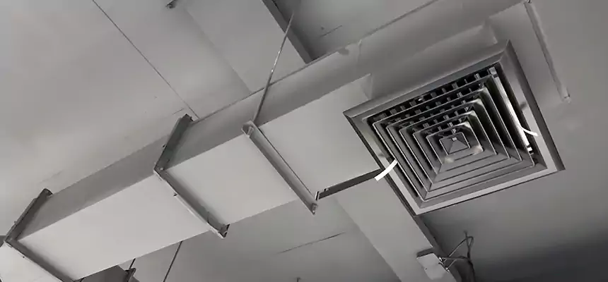 Our Rodent Droppings In Vents Services in Greenville, NC