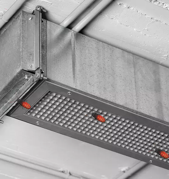Affordable Insect Removal from Air Ducts in Greenville, NC