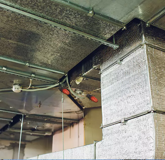 Why Homeowners & Businesses Trust Us in Greenville, NC?