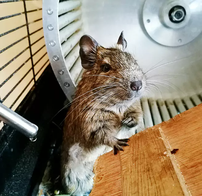 Why Homeowners & Businesses Trust Us Greenville, NC