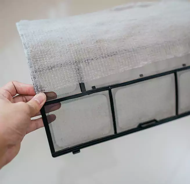 Why Homeowners & Businesses Trust Us in Greenville, NC?