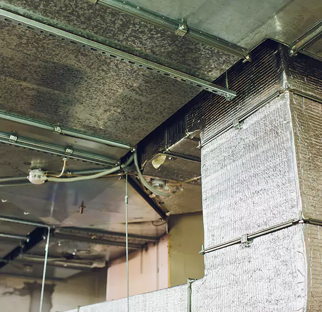 Why Homeowners & Businesses Trust Us in Greenville, NC?